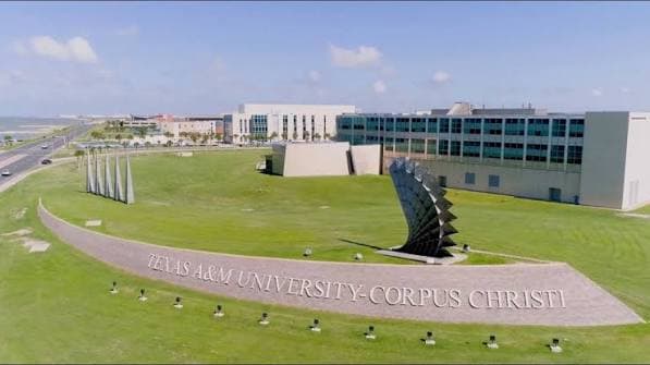 Texas A&M University–Corpus Christi